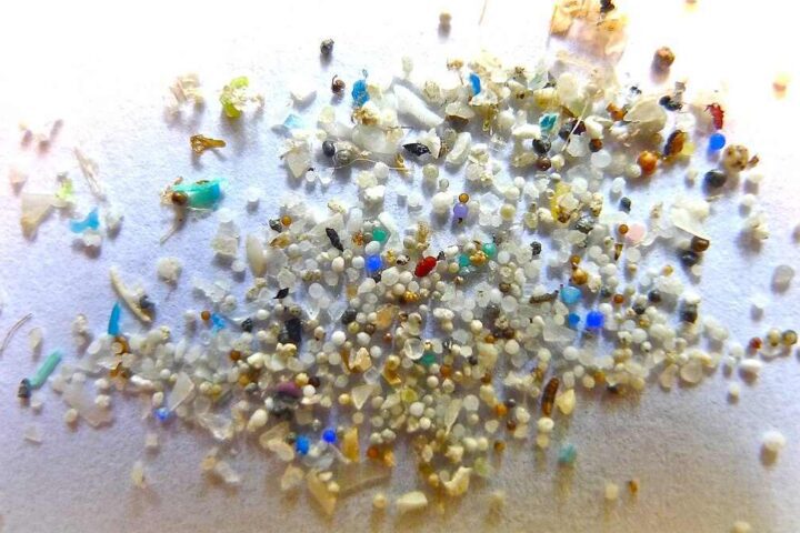Colorful microplastic particles of various sizes and shapes scattered against a white background, showing the diversity of plastic fragments found in environmental samples.