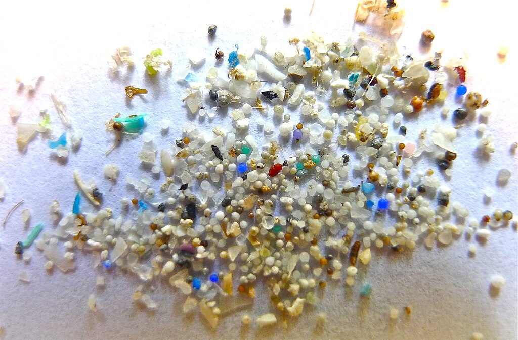 Colorful microplastic particles of various sizes and shapes scattered against a white background, showing the diversity of plastic fragments found in environmental samples.