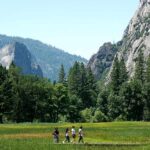 A family walking across a lush green meadow beneath towering granite cliffs in Yosemite National Park.