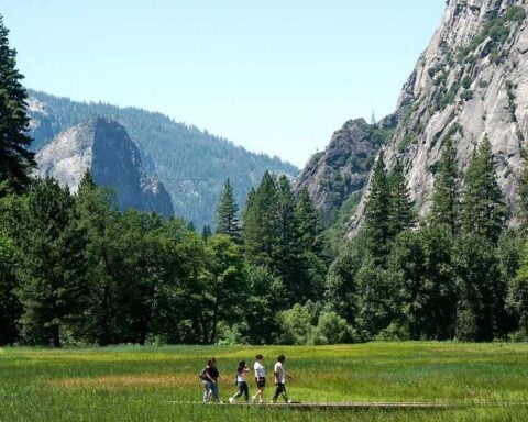A family walking across a lush green meadow beneath towering granite cliffs in Yosemite National Park.