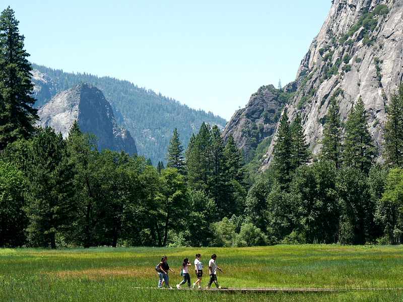 A family walking across a lush green meadow beneath towering granite cliffs in Yosemite National Park.