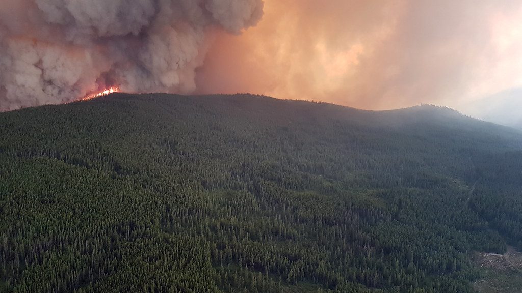 Aerial view of the Snowy Mountain wildfire burning along a forested ridge at night, with flames visible and smoke rising against a darkening sky over the dense forest landscape near Keremeos, British Columbia.