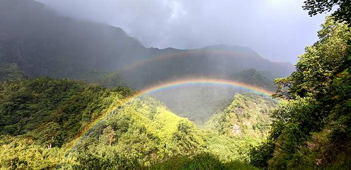 Double rainbow spanning across verdant mountain valley in Tahiti with sunlit tropical foliage beneath cloudy skies.