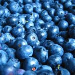 Close-up photograph of fresh blueberries with their characteristic dusty blue color and natural bloom, showing the fruit that's central to APVMA's pesticide suspension proposal.