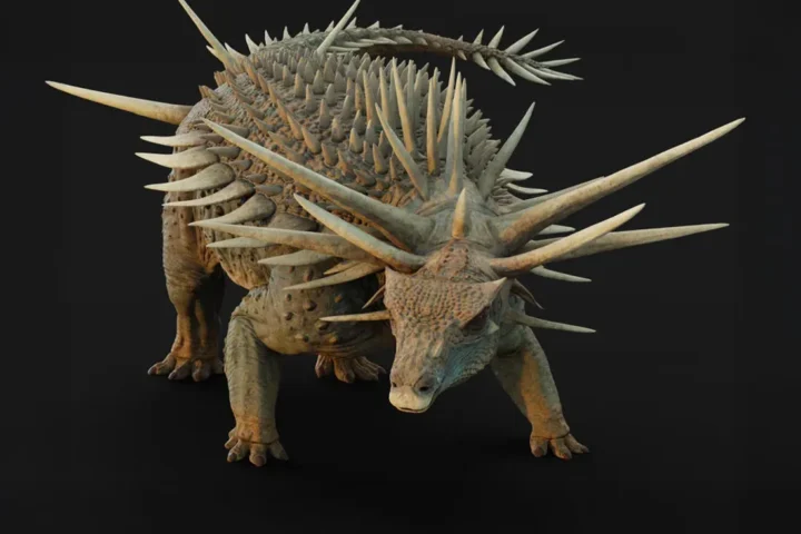 Artist's impression of Spicomellus afer showing a heavily armored quadrupedal dinosaur with multiple long spikes projecting from its neck, back, and sides against a black background
