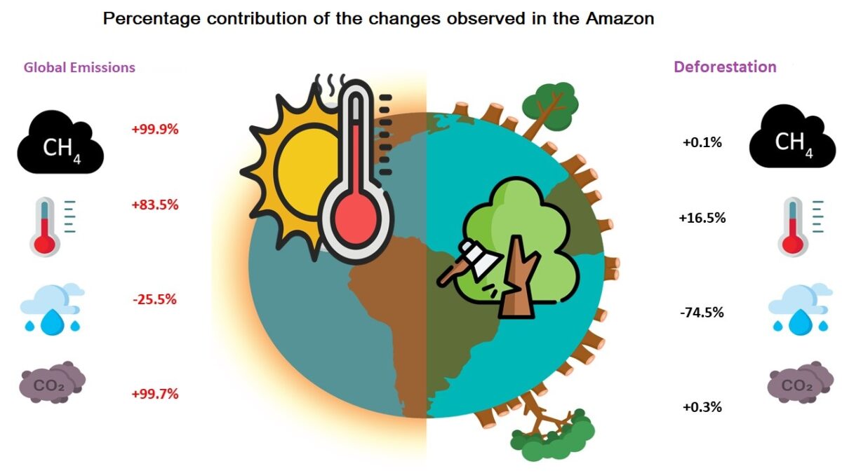 Amazon Deforestation Causes 74.5% of Rainfall Decline, Critical 10-40% ...