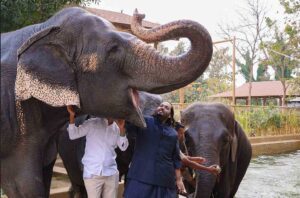 Anant Ambani standing with elephants at Vantara zoo in Jamnagar, Gujarat, during a conservation event.