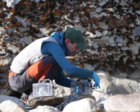 Researcher in blue jacket crouching by a rocky mountain stream, setting up transparent water filtration equipment to collect environmental DNA samples in Bhutan's Himalayan region.