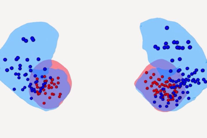 Brain electrode visualization showing blue and red dots representing electrode placements across two brain hemisphere views, with overlapping blue and red regions indicating the amygdala area where fear memory extinction signals were recorded.