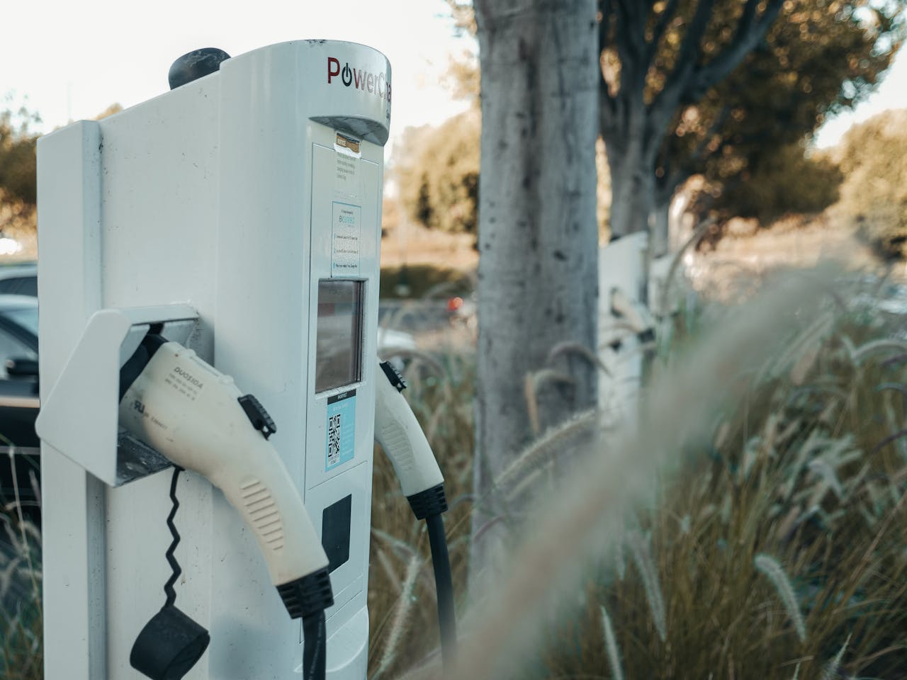 White electric vehicle charging station with charging cable attached, positioned near tall grass and trees in California