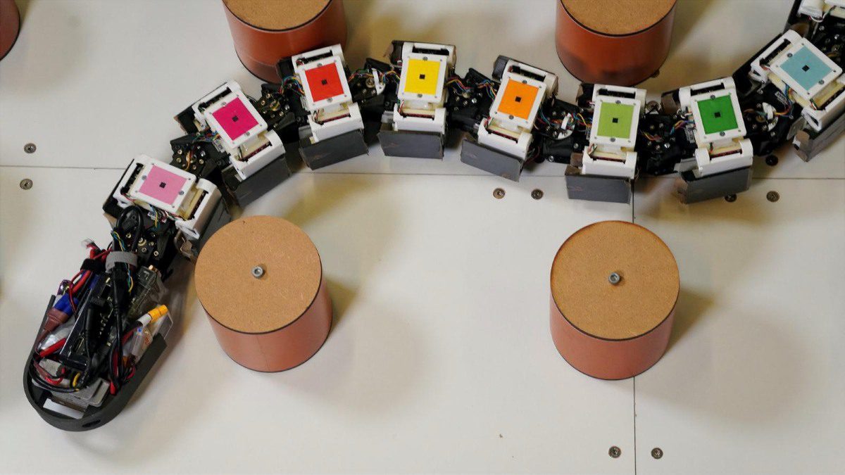 Agnathax eel-inspired robot with colorful segmented body maneuvering through cylindrical pegs on a testing surface