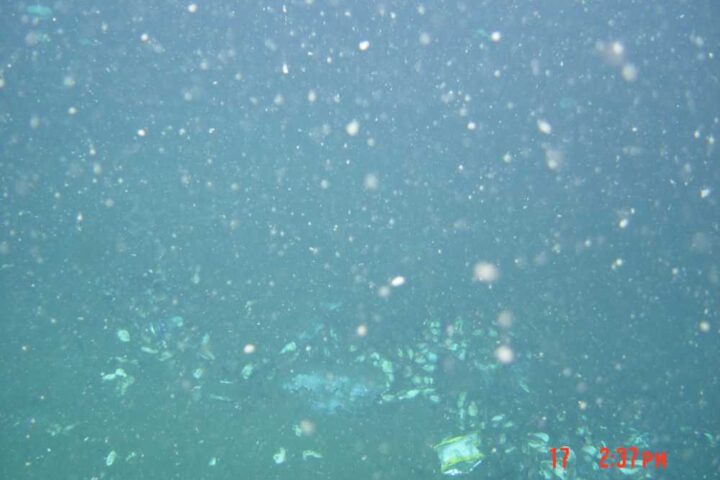 Underwater image showing tiny plastic particles suspended in blue-green water, demonstrating the microplastic pollution that threatens marine ecosystems.