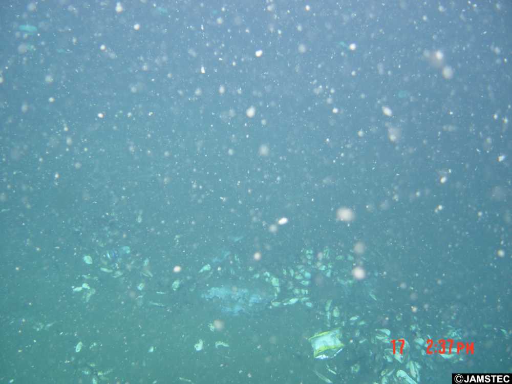 Underwater image showing tiny plastic particles suspended in blue-green water, demonstrating the microplastic pollution that threatens marine ecosystems.