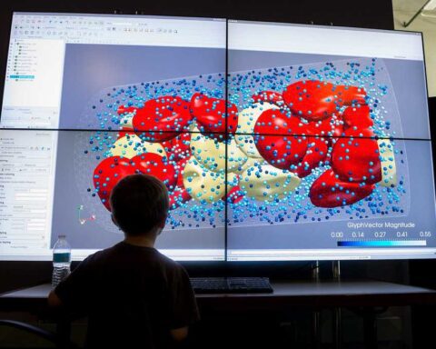 A researcher views a large screen displaying a colorful 3D visualization with red cell-like structures and blue data points, showing vector magnitude measurements on a scale at the bottom.