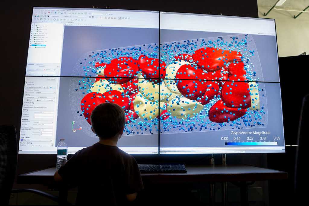 A researcher views a large screen displaying a colorful 3D visualization with red cell-like structures and blue data points, showing vector magnitude measurements on a scale at the bottom.