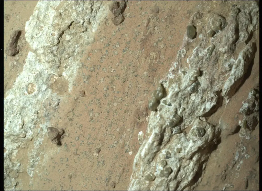 Close-up image of a reddish Mars rock surface showing small dark speckles and spots referred to as "leopard spots," collected by NASA's Perseverance rover in Jezero Crater.
