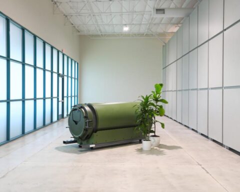 Eco-friendly cremation vessel in a bright minimalistic facility with indoor plants, representing sustainable funeral practices.
