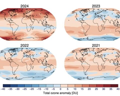 Four world maps showing total ozone anomaly distribution from 2021-2024, with color scale ranging from blue (depletion) to red (concentration). The 2024 map shows increased ozone concentration in polar regions compared to previous years.
