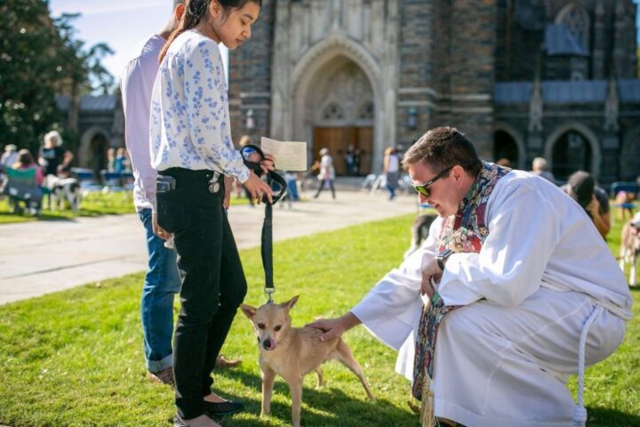 Clergy member in white robe blessing a small dog held on a leash by a woman outside Duke Chapel during the annual pet blessing event.