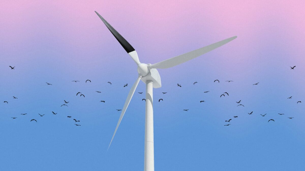 A white wind turbine with birds flying around it against a blue-purple gradient sky