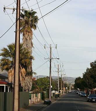 Suburban street in Ridleyton, Adelaide, Australia, with palm trees, residential houses, and Stobie utility poles carrying overhead power lines.