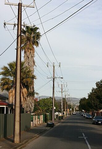 Suburban street in Ridleyton, Adelaide, Australia, with palm trees, residential houses, and Stobie utility poles carrying overhead power lines.