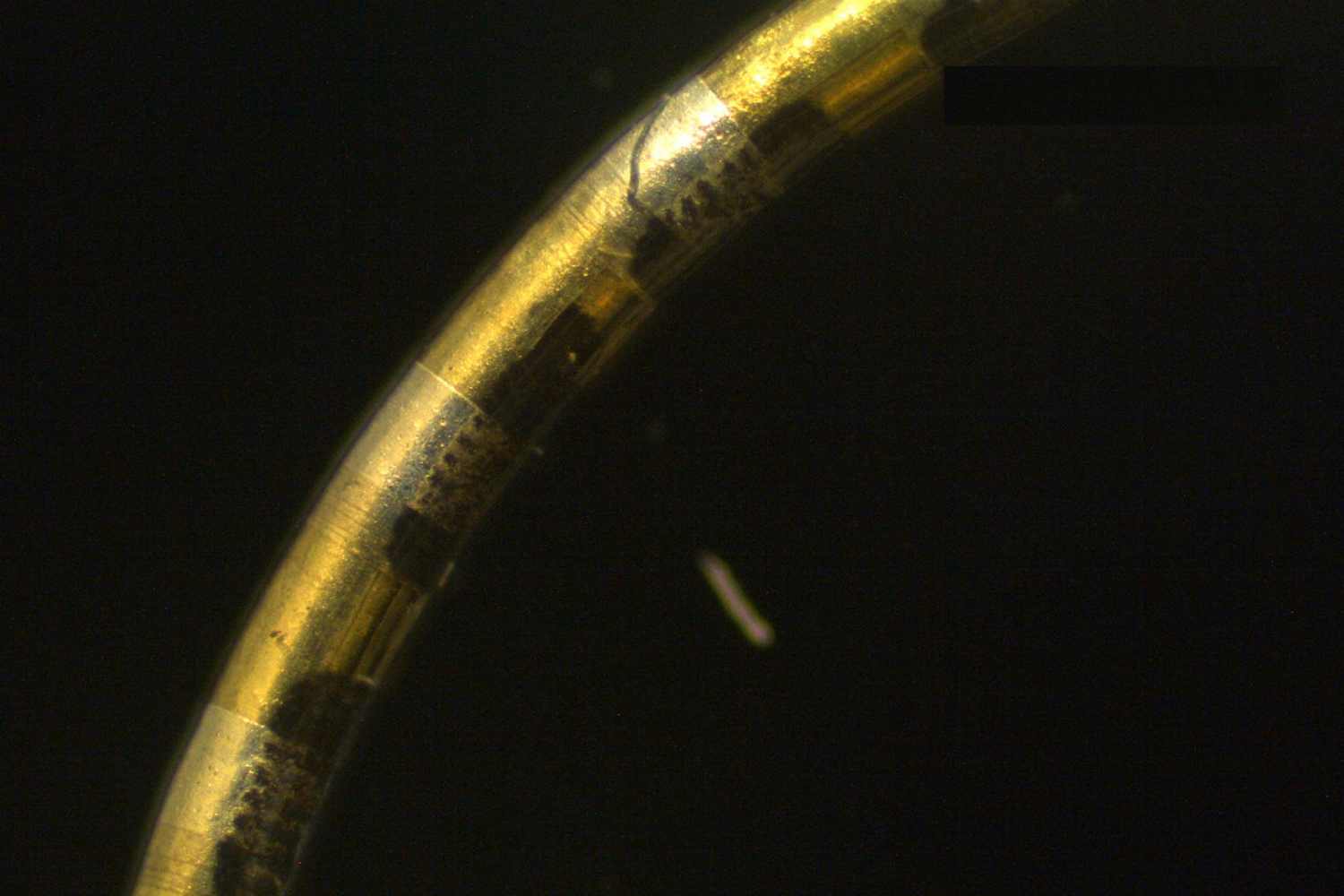 Close-up view of the golden-colored S-NeuroString bioelectronic fiber curved against a black background, showing its thin, flexible structure with embedded electronic channels.