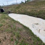 Polluted section of White Oak Bayou with cloudy residue and dead vegetation from alleged coconut lotion discharge, Houston.