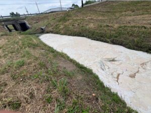 Polluted section of White Oak Bayou with cloudy residue and dead vegetation from alleged coconut lotion discharge, Houston.