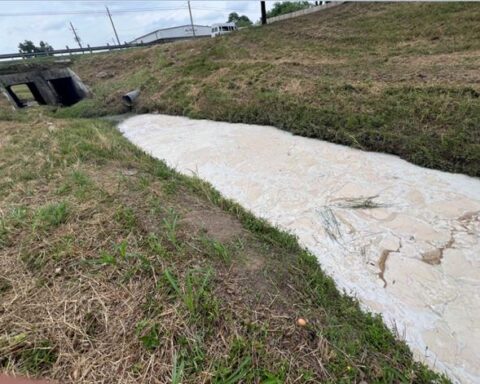 Polluted section of White Oak Bayou with cloudy residue and dead vegetation from alleged coconut lotion discharge, Houston.