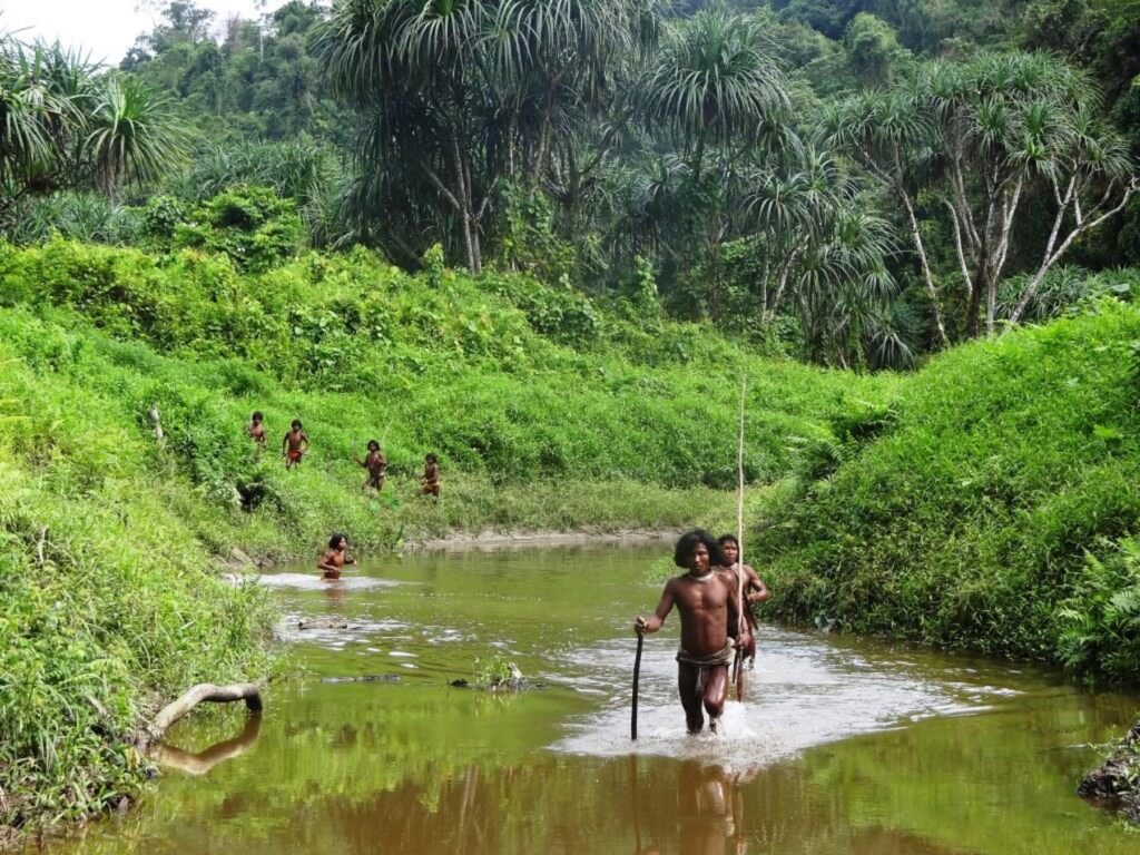 A member of the Shompen tribe, an indigenous and particularly vulnerable tribal group, standing in the dense rainforest of Great Nicobar Island.