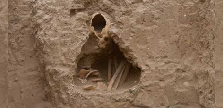 One of the burials at the Neolithic site of Tell Halula, Syria—human remains interred beneath a house floor, reflecting shared funerary rites for locals and newcomers.