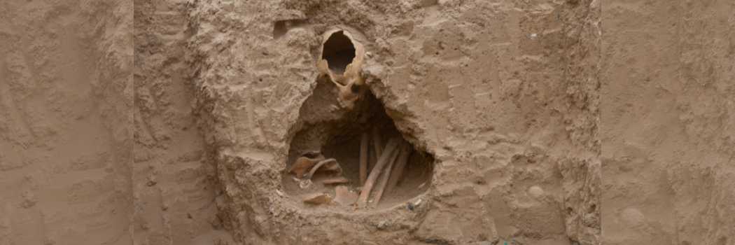 One of the burials at the Neolithic site of Tell Halula, Syria—human remains interred beneath a house floor, reflecting shared funerary rites for locals and newcomers.