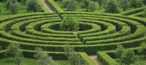 Aerial view of a circular hedge maze with green hedges forming concentric pathways with a tree at the center, resembling the neural pathways our brains use for spatial navigation.