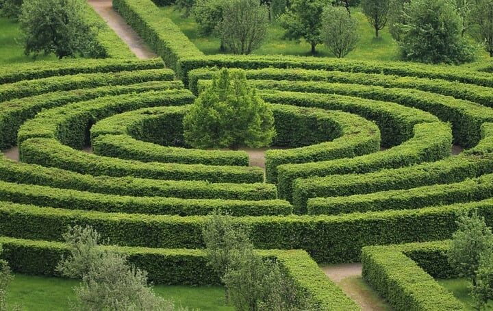 Aerial view of a circular hedge maze with green hedges forming concentric pathways with a tree at the center, resembling the neural pathways our brains use for spatial navigation.