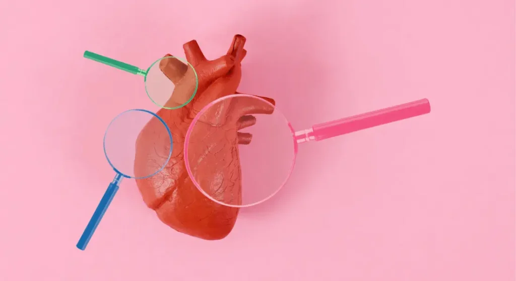 Model of a human heart with three different colored magnifying glasses examining different sections, set against a pink background.