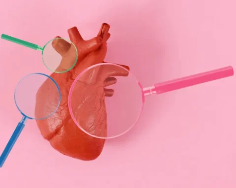 Model of a human heart with three different colored magnifying glasses examining different sections, set against a pink background.