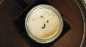 Overhead view of a jar of foamy warm milk with a few ants floating on the surface.