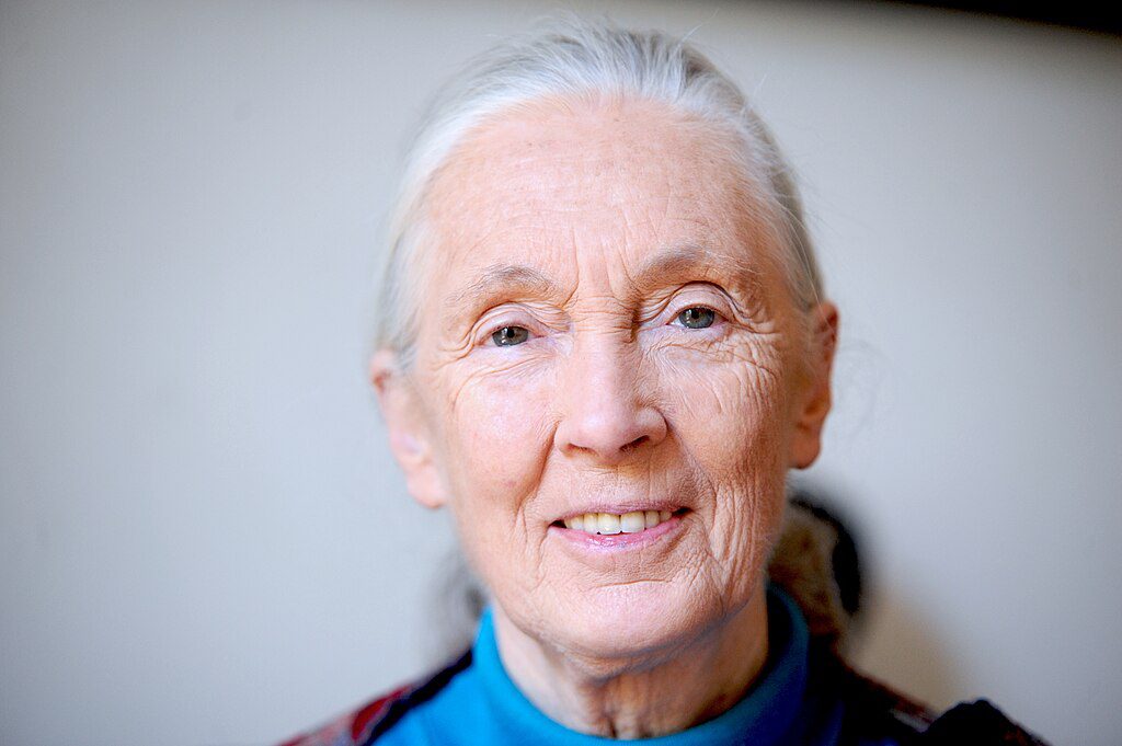 Close-up portrait of Jane Goodall in 2010, showing her with white hair and wearing a blue top, looking directly at the camera with a gentle smile.