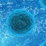 Microscopic view of human cells, depicted as blue spheres against a molecular background.