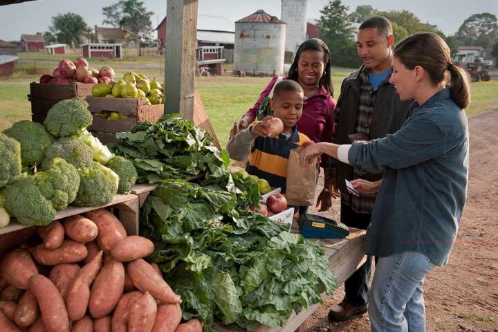 USDA staff member processes a SNAP/EBT transaction at an outdoor farmers’ market stall, helping a shopper use nutrition benefits to buy fresh produce.
