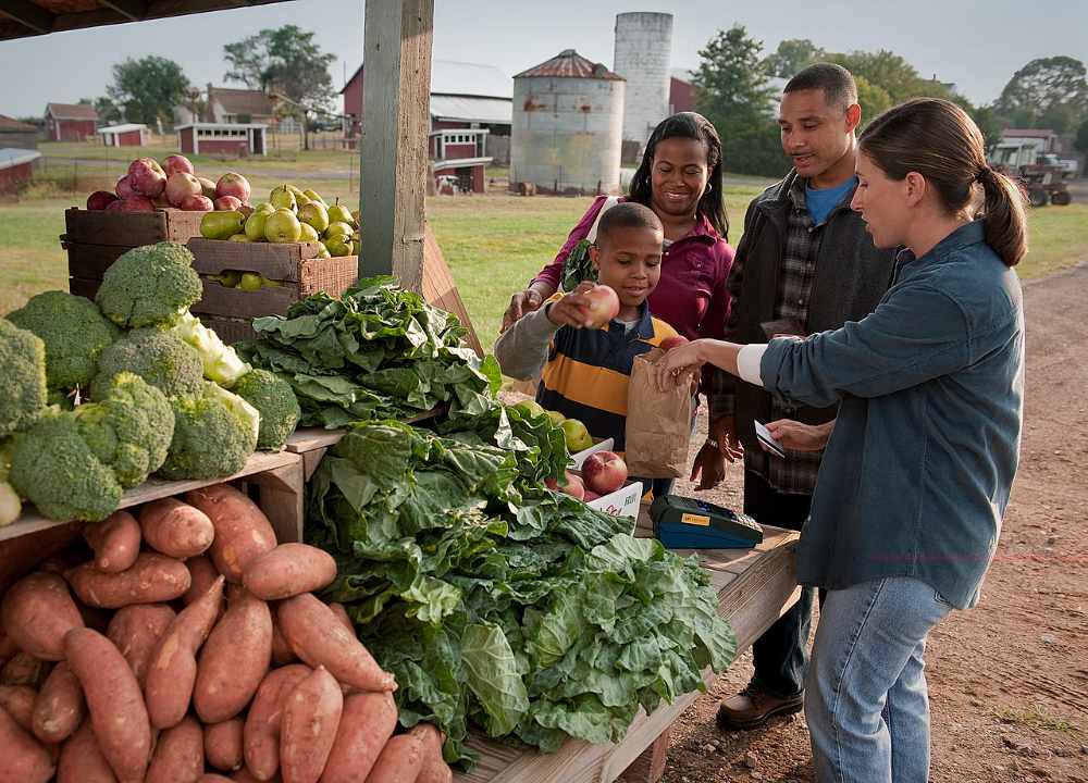 USDA staff member processes a SNAP/EBT transaction at an outdoor farmers’ market stall, helping a shopper use nutrition benefits to buy fresh produce.