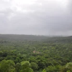 Aerial view of Sanjay Gandhi National Park from Kanheri Caves showing thick forest canopy bordered by urban development in Mumbai.
