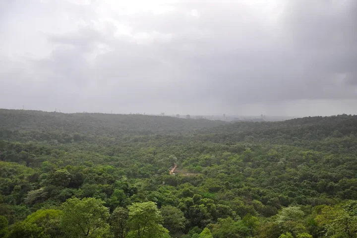 Aerial view of Sanjay Gandhi National Park from Kanheri Caves showing thick forest canopy bordered by urban development in Mumbai.