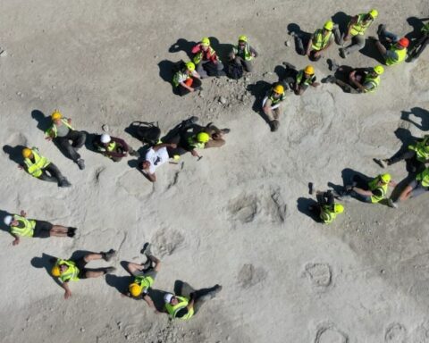 Overhead view of researchers in high-vis around large sauropod footprints at Dewars Farm Quarry, Oxfordshire