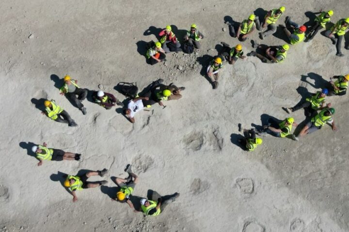 Overhead view of researchers in high-vis around large sauropod footprints at Dewars Farm Quarry, Oxfordshire