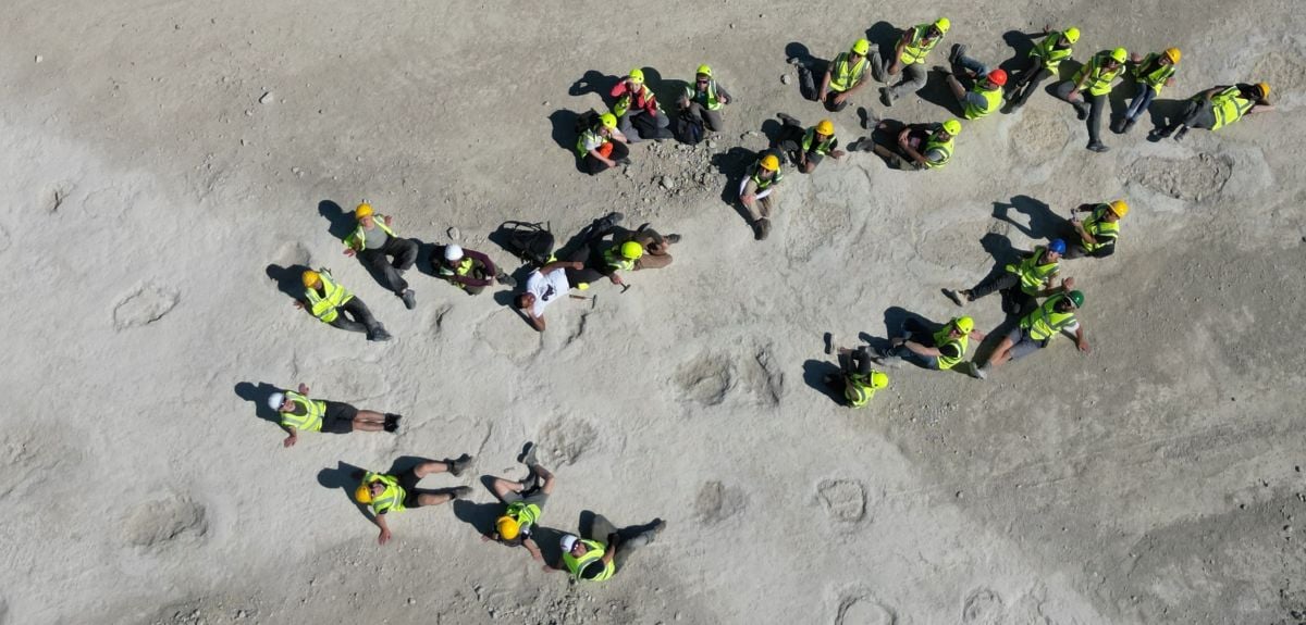 Researchers in high‑viz mapping a line of large sauropod footprints at an Oxfordshire quarry