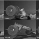 High‑speed strike study graphic from Journal of Experimental Biology showing snake strike kinematics and timing metrics