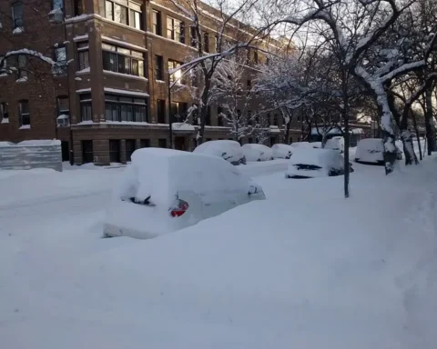 Chicago covered with snow on February 2, 2015, due to Winter Storm Linus