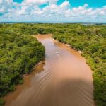 Aerial view of winding muddy river cutting through dense Amazon rainforest canopy with lush green vegetation